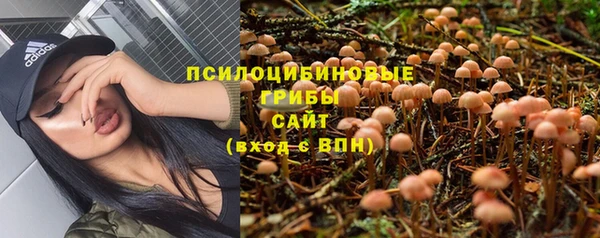 бутират Горнозаводск