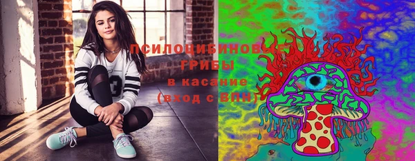 бутират Горнозаводск