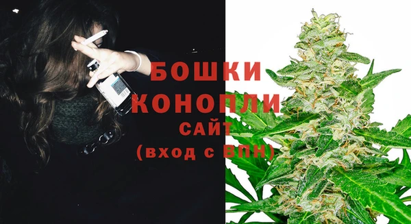сатива Гусев