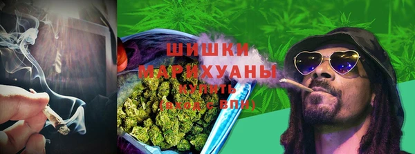 бутират Горнозаводск